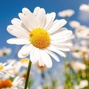 Thumb img 4c9e2c62ab