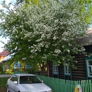 Thumb img 72d2bd961f