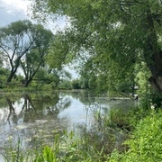 Thumb img 9896c9077e