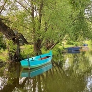 Thumb img 6e78257625