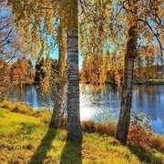Thumb img 5fadd351e6