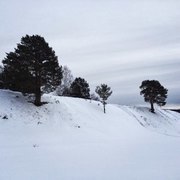 Thumb img27483 e2a6c07860