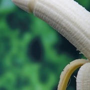 Thumb img 19b9cb537a