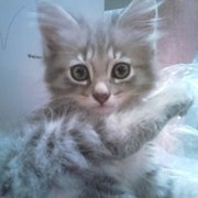 Thumb img 283bf91350