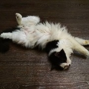 Thumb img 755004c373