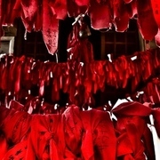 Thumb img 01bc5c689b
