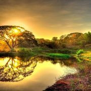 Thumb img 277b5278c5