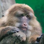 Thumb img 616f71a805