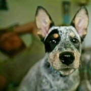Thumb img c3607b09a9