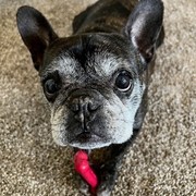 Thumb img f32681d61c