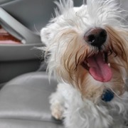 Thumb img 9627fcca7d