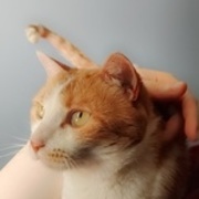 Thumb img 91fe195202