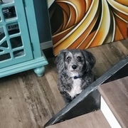 Thumb img 6da1e11b77