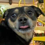 Thumb img 0d238001d0