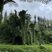 Thumb img 8224e9ff85