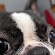Thumb img c6c7f4d459