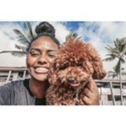 Thumb img 4f93d2b93f