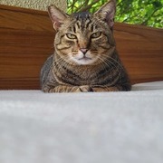 Thumb img 3ba7afcb51