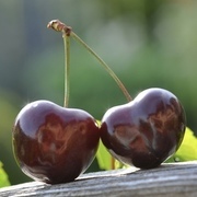 Thumb img a416025c43