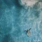 Thumb img 9b0402e646