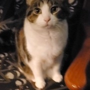 Thumb img 25b7937f97