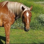 Thumb img 28090a9d37