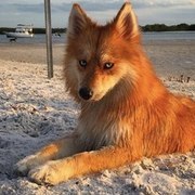 Thumb img 341ec47e2b