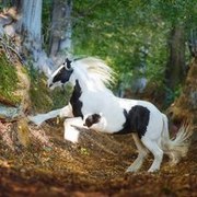 Thumb img33573 9c1dca791d