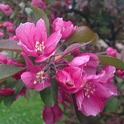 Thumb img 3156f7340d