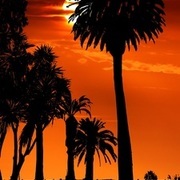 Thumb img cd5442f7e5