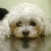 Thumb img dd3f788e62