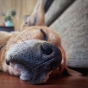 Thumb img f2a7088549