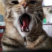 Thumb img 479f34a382