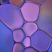 Thumb img e805aac943