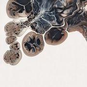 Thumb img c8c9fd714a