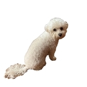 Thumb img 20f5a1e97a