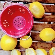 Thumb img c77a909295