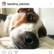 Thumb img d9cf5dda61