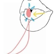 Thumb img 2fdf4d41bc