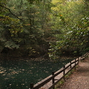 Thumb img 428101fe1c