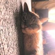 Thumb img e8f5887cb4