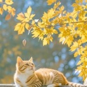 Thumb img 8547463aa2