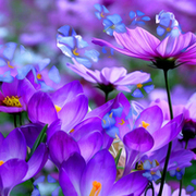 Thumb img 870c8723bb