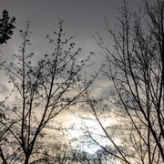 Thumb img 0d40e71a67