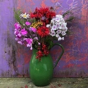 Thumb img 571f167751