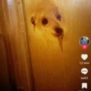 Thumb img c6d473aafa
