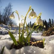 Thumb img 76171a0b5f
