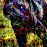 Thumb img 81eb7e63f6