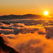 Thumb img 22858f81c8