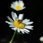 Thumb img 8aef95de6e